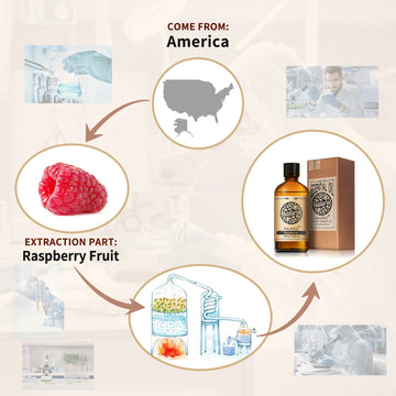Raspberry Essential Oil AKARZ Natural And Pure ( 30ML 100ML)